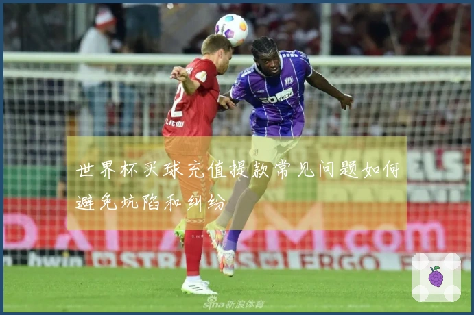 世界杯买球充值提款常见问题如何避免坑陷和纠纷