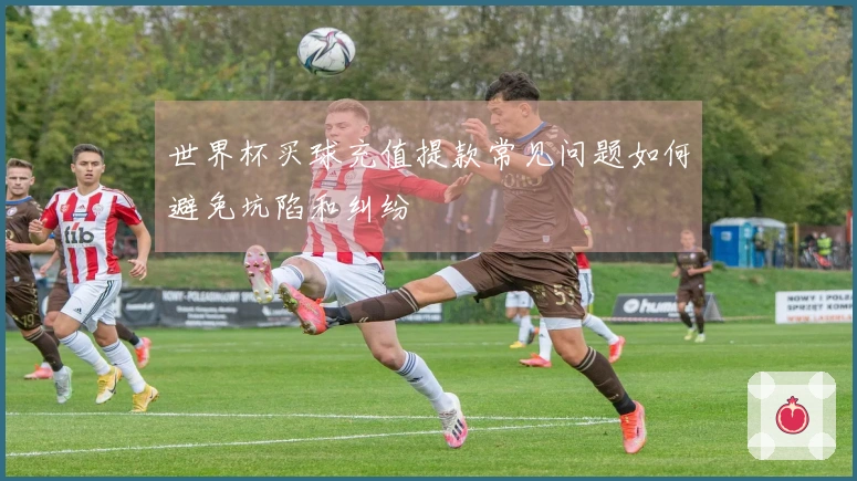 世界杯买球充值提款常见问题如何避免坑陷和纠纷