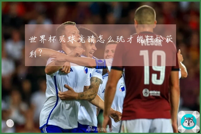 世界杯买球竞猜怎么玩才能轻松获利？