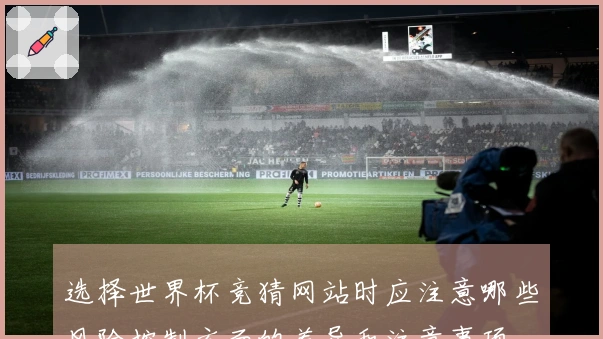 选择世界杯竞猜网站时应注意哪些风险控制方面的差异和注意事项