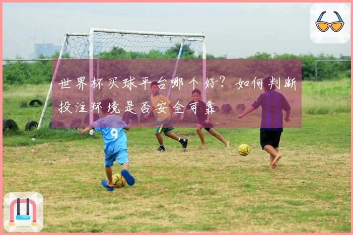 世界杯买球平台哪个好？如何判断投注环境是否安全可靠